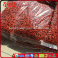 Valeur nutritive baies de goji himalaya baies de goji baie chinoise